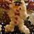 Tara M Baker's profile image