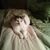Brenda Norland's profile image