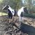 Carol Tuttle's profile image