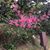 Agnes Olvera's profile image