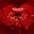 Samantha Salsgiver's profile image