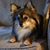 Kathy Lynn's profile image
