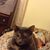 Jean Lietz's profile image