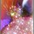 Alberto Guerra's profile image
