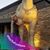 Candace Nicole Sullivan's profile image