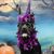 Amy Kirkner Landis's profile image