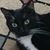 Janice Drinkwater Teagle's profile image