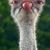 Robert Custer's profile image