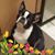 Donnette Damon's profile image