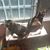 Ingrid Burghardt's profile image