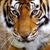 Juan Bautista Santay's profile image