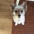 Patricia Hess's profile image