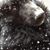 Jackie Luster Lody's profile image