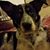 Heather Walser's profile image