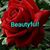 Annette Grimaldo's profile image