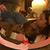 Linda O'Dell's profile image