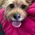 Easter Eisele's profile image
