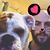 Josh Swope's profile image