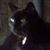 Tia Glenn's profile image