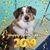 Renee Chapman Meyers's profile image