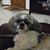 Brenda Malin's profile image