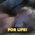Trish Valentine Brady's profile image