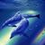 Becky B. Winstead-Roberts's profile image