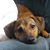 Robert Windle's profile image