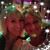 Julie Dudley's profile image