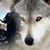 Jim Brubaker's profile image