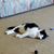 Linda Thornton Reiman's profile image