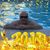 Rony Schmidt's profile image