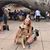 Cassie Rose Hauser's profile image
