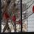 Lynn Miller Hill's profile image