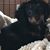 Kimberly Russell Oakley's profile image