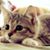 Ann Billingsley's profile image