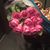 Oum Yacin's profile image