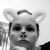Kelley Stewart Ras's profile image