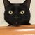 Christy Cross's profile image