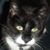 Margaret Wearn Mathison's profile image