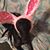 Linda Maton's profile image