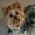 Terri Weeks's profile image