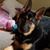 Gabby Henke-White's profile image