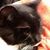 Chris Fortner's profile image