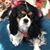 Janet Riffe's profile image