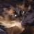Kimberly Roberts's profile image