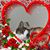 Bonnie Smart's profile image