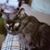 Linda Scott's profile image
