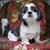 Mary P Hillman's profile image