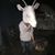Tim Matus's profile image